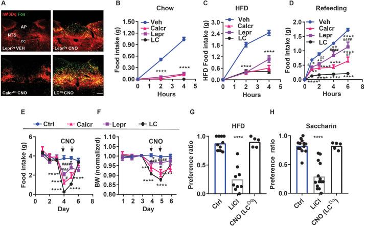 https://cdn.ncbi.nlm.nih.gov/pmc/blobs/4e07/10781422/6bd3b82afb3f/elife-85640-fig1.jpg