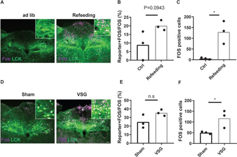 https://cdn.ncbi.nlm.nih.gov/pmc/blobs/4e07/10781422/73c1afa98370/elife-85640-fig6-figsupp3.jpg