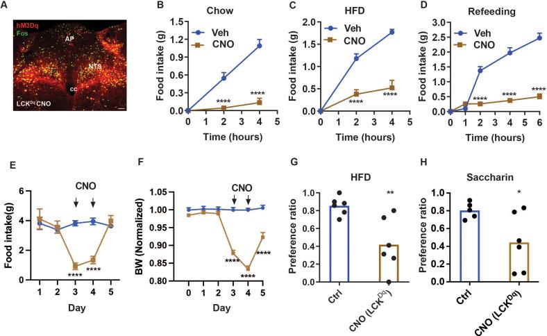 https://cdn.ncbi.nlm.nih.gov/pmc/blobs/4e07/10781422/80623e565881/elife-85640-fig4.jpg