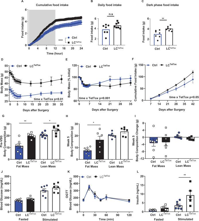 https://cdn.ncbi.nlm.nih.gov/pmc/blobs/4e07/10781422/b86332790483/elife-85640-fig2-figsupp1.jpg