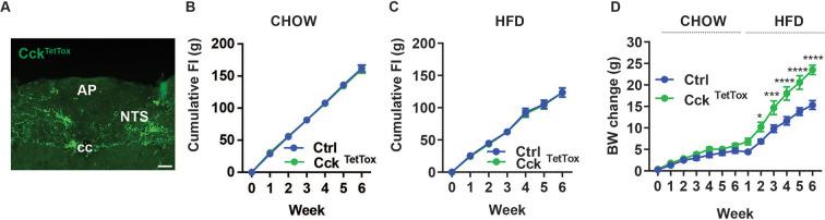 https://cdn.ncbi.nlm.nih.gov/pmc/blobs/4e07/10781422/f850637fb9f9/elife-85640-fig3.jpg