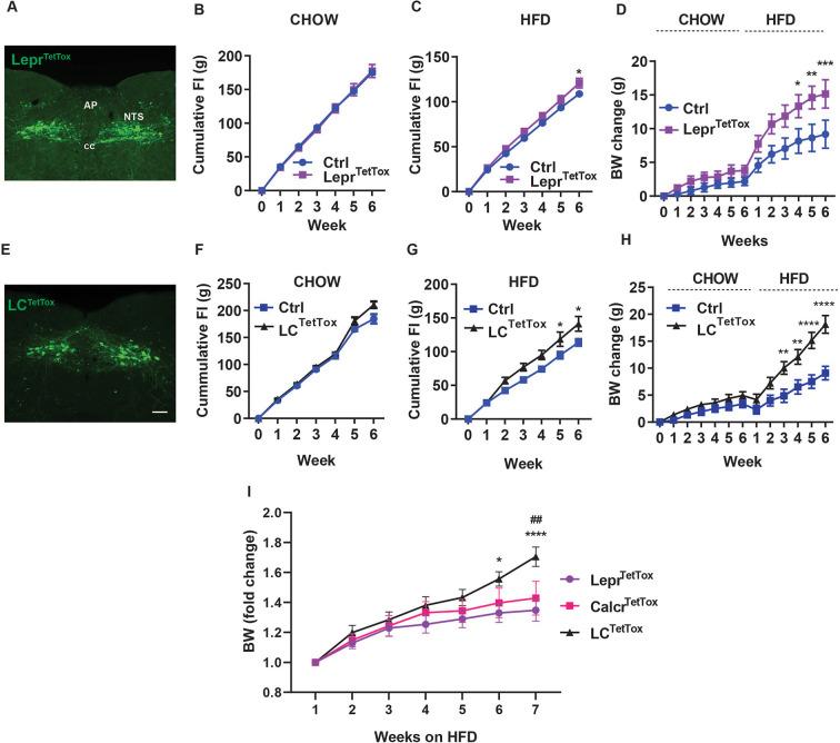 https://cdn.ncbi.nlm.nih.gov/pmc/blobs/4e07/10781422/f98bf5bf089a/elife-85640-fig2.jpg