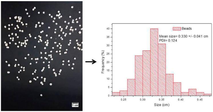 https://cdn.ncbi.nlm.nih.gov/pmc/blobs/4e07/8954626/e1759a6f876e/pharmaceutics-14-00583-g004.jpg