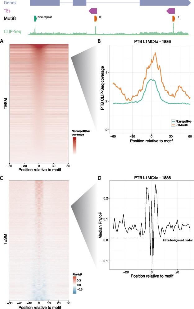 https://cdn.ncbi.nlm.nih.gov/pmc/blobs/4e08/4272801/ddfdd903c2c3/13059_2014_537_Fig4_HTML.jpg