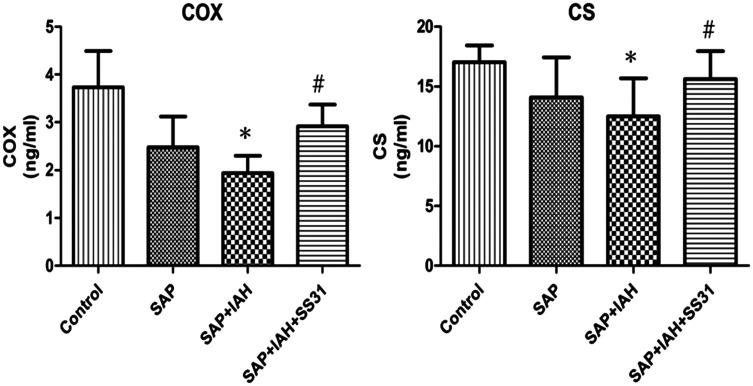 https://cdn.ncbi.nlm.nih.gov/pmc/blobs/4e09/6091837/9e98035481a2/10.1177_0300060517747163-fig3.jpg