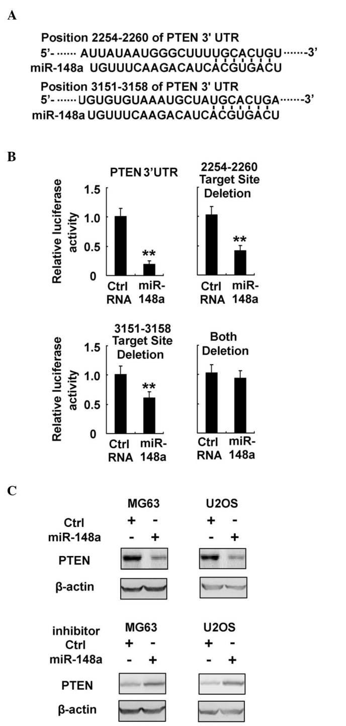 https://cdn.ncbi.nlm.nih.gov/pmc/blobs/4e0a/5103920/d08af38241d0/ol-12-05-3208-g04.jpg