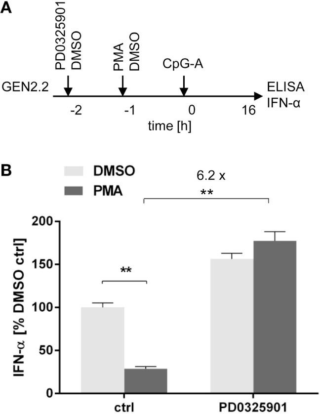 https://cdn.ncbi.nlm.nih.gov/pmc/blobs/4e0a/5835309/020caaa5398a/fimmu-09-00364-g006.jpg