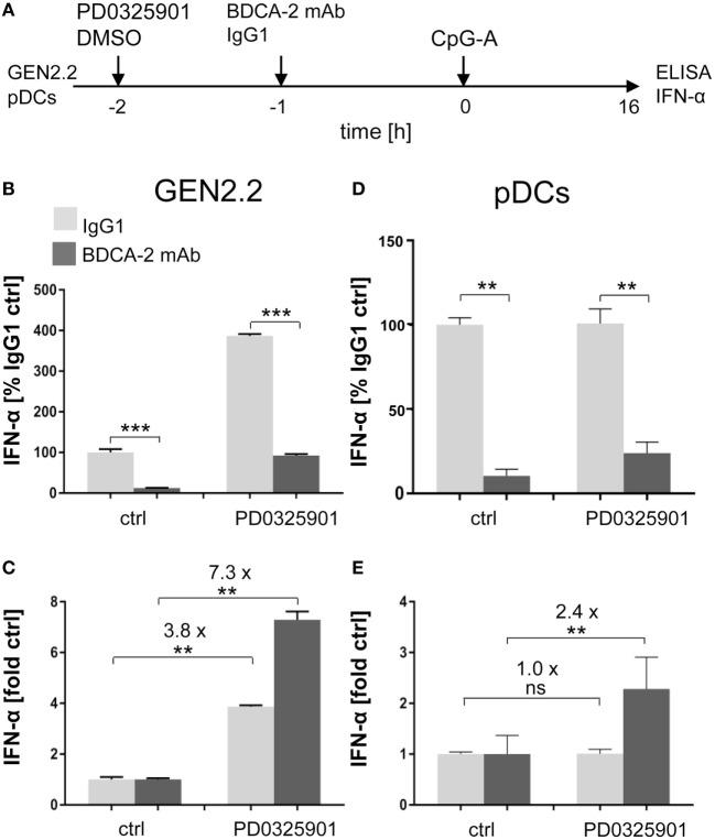 https://cdn.ncbi.nlm.nih.gov/pmc/blobs/4e0a/5835309/837ce3e9e1ed/fimmu-09-00364-g003.jpg