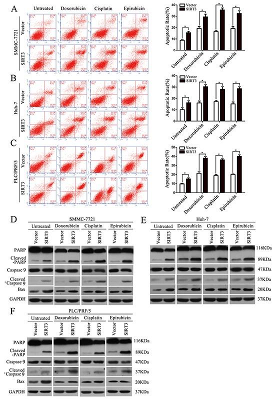 https://cdn.ncbi.nlm.nih.gov/pmc/blobs/4e0c/5226572/6443d552e39f/oncotarget-07-50117-g003.jpg
