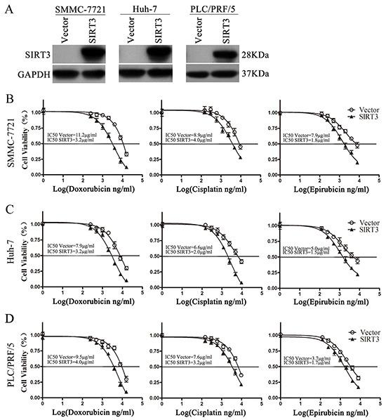 https://cdn.ncbi.nlm.nih.gov/pmc/blobs/4e0c/5226572/bbd221555788/oncotarget-07-50117-g002.jpg