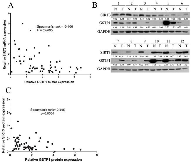 https://cdn.ncbi.nlm.nih.gov/pmc/blobs/4e0c/5226572/cb271f484a59/oncotarget-07-50117-g007.jpg