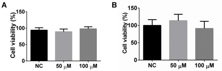 https://cdn.ncbi.nlm.nih.gov/pmc/blobs/4e0c/7457724/b7203a9e7ce0/IJN-15-6401-g0006.jpg