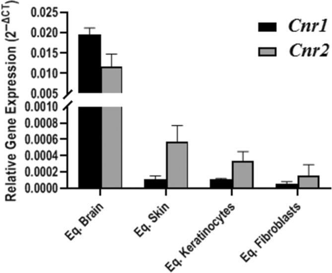 https://cdn.ncbi.nlm.nih.gov/pmc/blobs/4e0c/9308437/1b8cfac9873f/JVIM-36-1508-g004.jpg