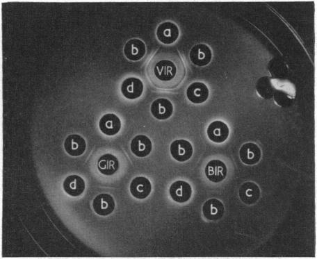 https://cdn.ncbi.nlm.nih.gov/pmc/blobs/4e0d/1424054/f4804fa581f6/immunology00458-0071-a.jpg