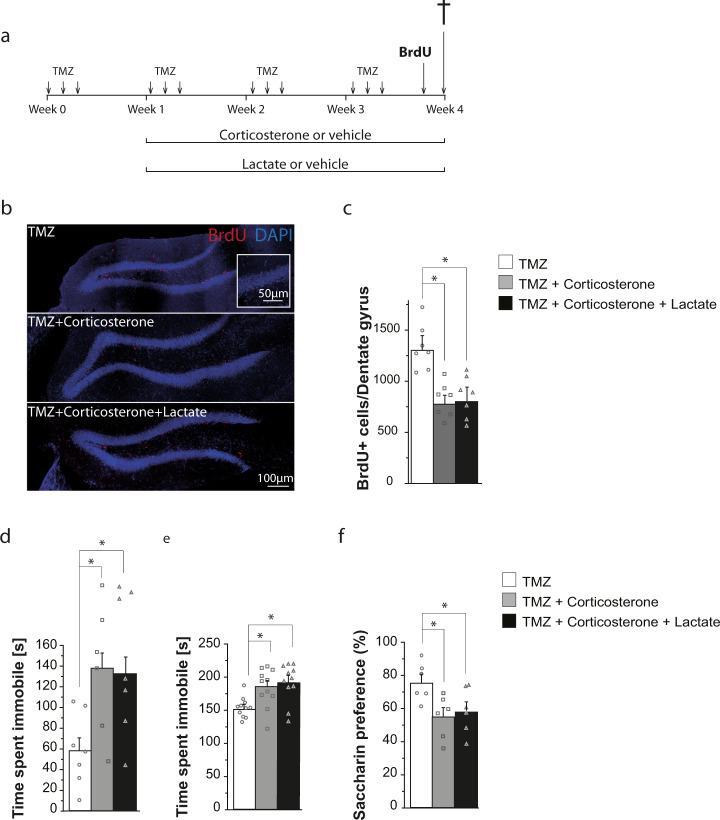https://cdn.ncbi.nlm.nih.gov/pmc/blobs/4e0d/8760055/c4ae1955594a/41380_2021_1122_Fig2_HTML.jpg