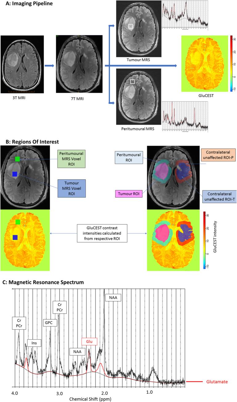 https://cdn.ncbi.nlm.nih.gov/pmc/blobs/4e0e/6396013/a5873c413c7d/gr1.jpg
