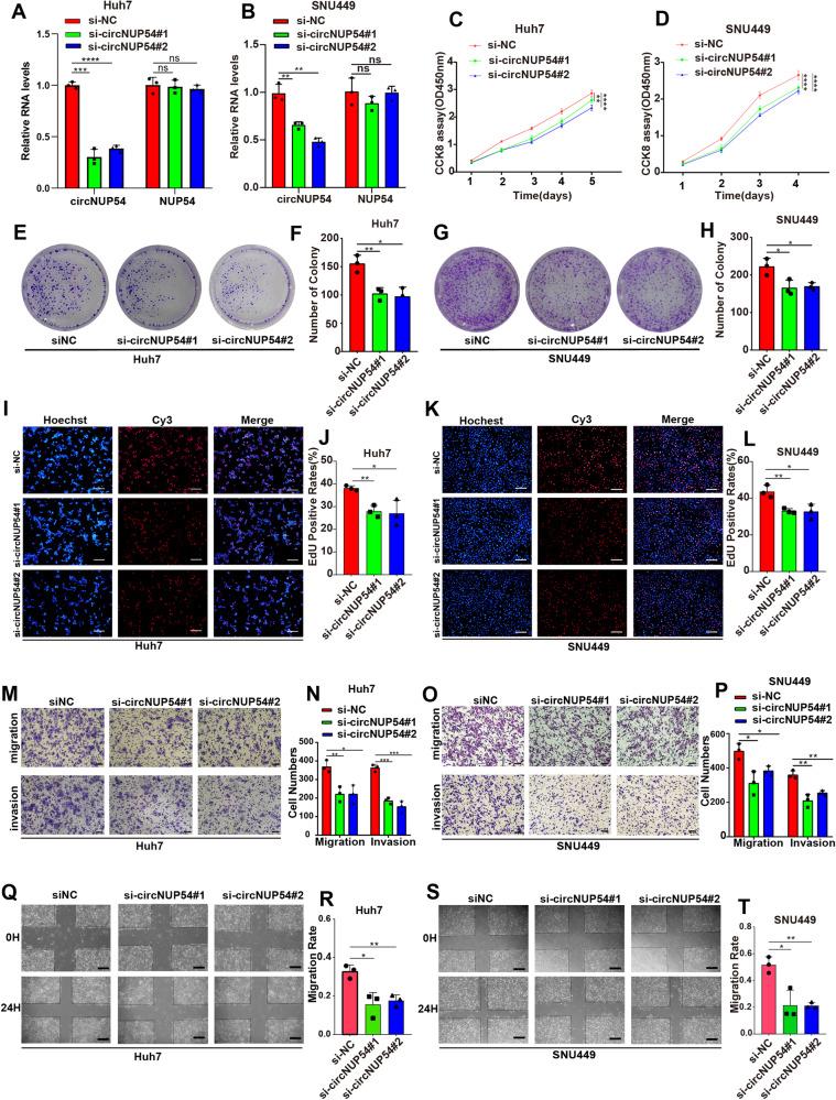 https://cdn.ncbi.nlm.nih.gov/pmc/blobs/4e10/10914787/1ac5d6cfa888/41419_2024_6570_Fig2_HTML.jpg
