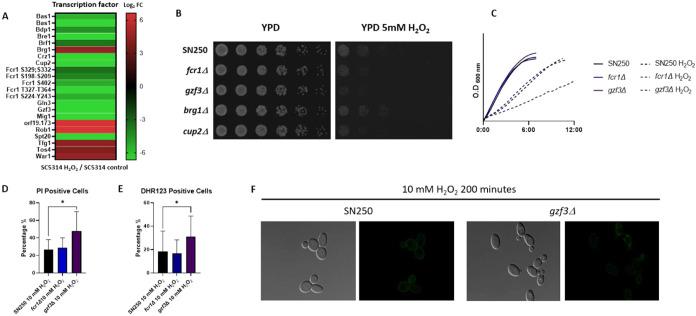 https://cdn.ncbi.nlm.nih.gov/pmc/blobs/4e11/12235712/573ddcda938e/pr5c00137_0008.jpg