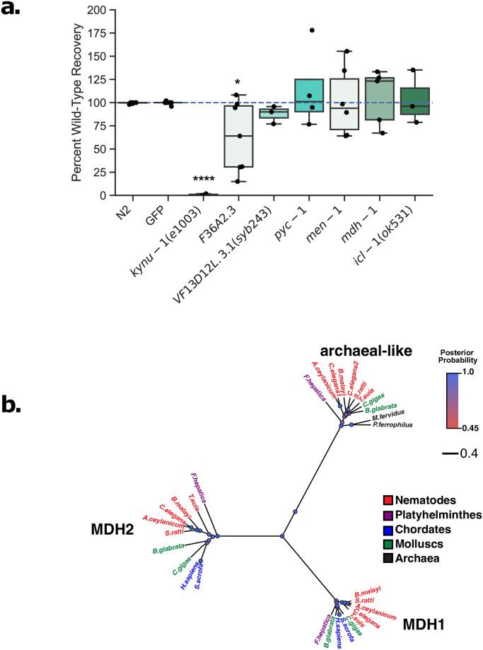https://cdn.ncbi.nlm.nih.gov/pmc/blobs/4e13/8659336/28d76da44929/pntd.0009991.g005.jpg