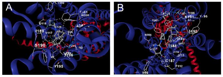 https://cdn.ncbi.nlm.nih.gov/pmc/blobs/4e14/10180017/5dea6a2f7f8a/molecules-28-03680-g010.jpg