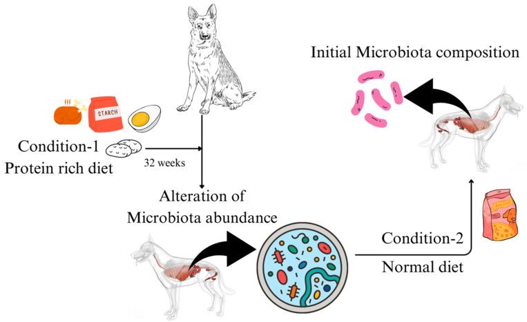 https://cdn.ncbi.nlm.nih.gov/pmc/blobs/4e14/11433972/86e88668f3e2/microorganisms-12-01831-g003.jpg
