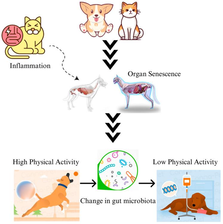 https://cdn.ncbi.nlm.nih.gov/pmc/blobs/4e14/11433972/f052aa65412f/microorganisms-12-01831-g002.jpg