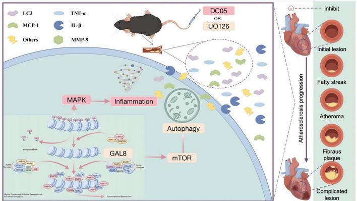 https://cdn.ncbi.nlm.nih.gov/pmc/blobs/4e14/11695939/79e43b95b850/41598_2024_85036_Fig7_HTML.jpg