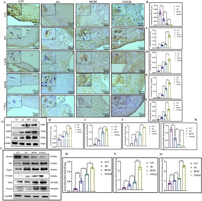 https://cdn.ncbi.nlm.nih.gov/pmc/blobs/4e14/11695939/d032917d4206/41598_2024_85036_Fig3_HTML.jpg