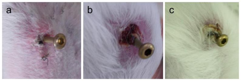 https://cdn.ncbi.nlm.nih.gov/pmc/blobs/4e14/3876116/6a1dc00c3155/ijms-14-24366f4.jpg