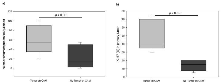 https://cdn.ncbi.nlm.nih.gov/pmc/blobs/4e17/8946779/f4803923754d/cancers-14-01476-g006.jpg