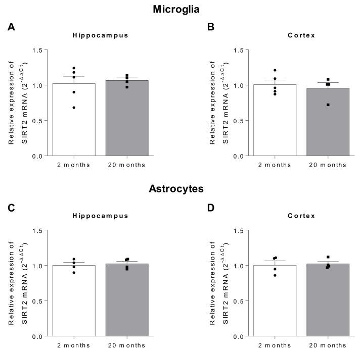 https://cdn.ncbi.nlm.nih.gov/pmc/blobs/4e1b/8003096/695615c43236/ijms-22-03107-g002.jpg