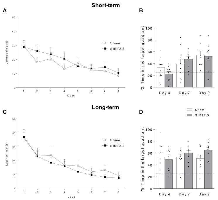 https://cdn.ncbi.nlm.nih.gov/pmc/blobs/4e1b/8003096/796690ffec2c/ijms-22-03107-g004.jpg
