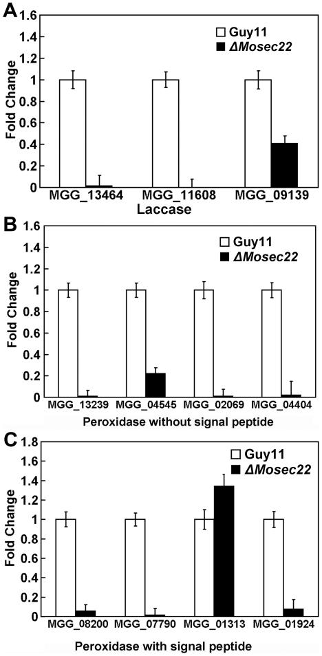 https://cdn.ncbi.nlm.nih.gov/pmc/blobs/4e1c/2950850/8184cef9a371/pone.0013193.g011.jpg