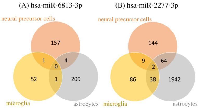 https://cdn.ncbi.nlm.nih.gov/pmc/blobs/4e1d/10531403/ca740ecaa16f/ijms-24-13902-g003.jpg