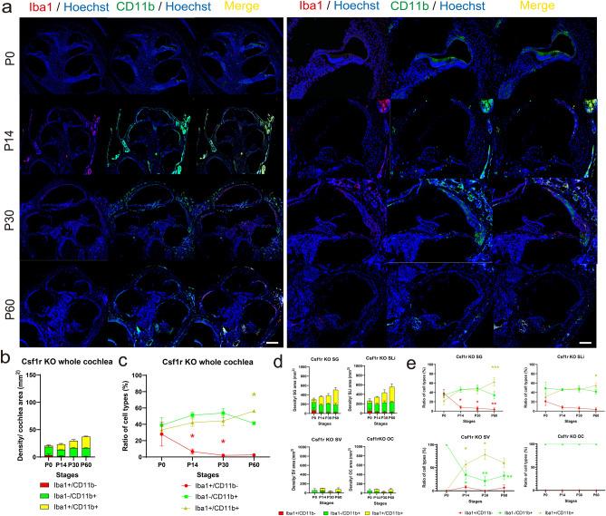 https://cdn.ncbi.nlm.nih.gov/pmc/blobs/4e1d/10762055/9fd4bc990563/41598_2023_50634_Fig4_HTML.jpg