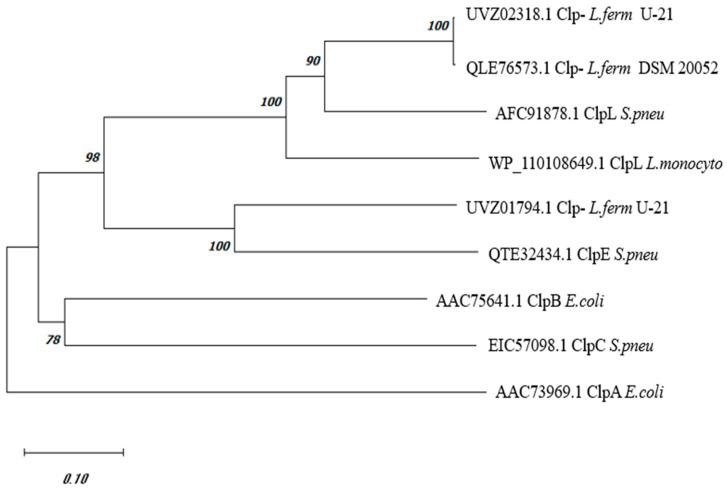 https://cdn.ncbi.nlm.nih.gov/pmc/blobs/4e1d/11351774/56acec6e8d36/biology-13-00592-g001.jpg