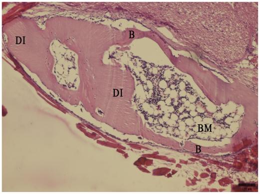 https://cdn.ncbi.nlm.nih.gov/pmc/blobs/4e1d/2956094/5cf085a1528f/ijms-11-03277f3.jpg