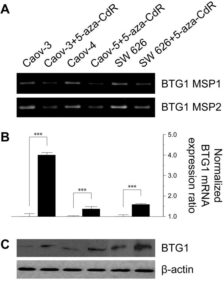 https://cdn.ncbi.nlm.nih.gov/pmc/blobs/4e1e/5604197/9cf69f1669a8/jcav08p2669g002.jpg