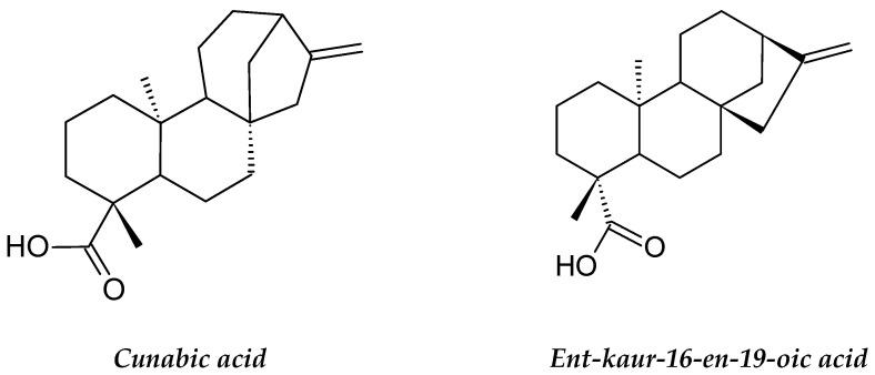 https://cdn.ncbi.nlm.nih.gov/pmc/blobs/4e1e/8124366/f17a8d038406/molecules-26-02741-g007.jpg
