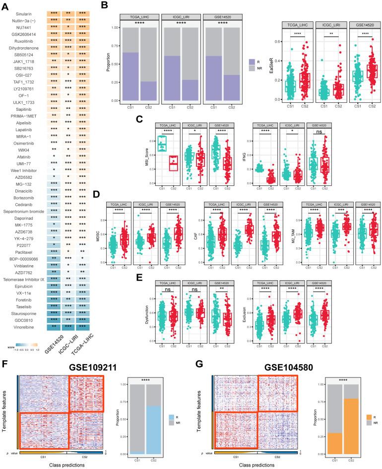 https://cdn.ncbi.nlm.nih.gov/pmc/blobs/4e1f/12325060/420fbca53df6/fimmu-16-1592259-g006.jpg