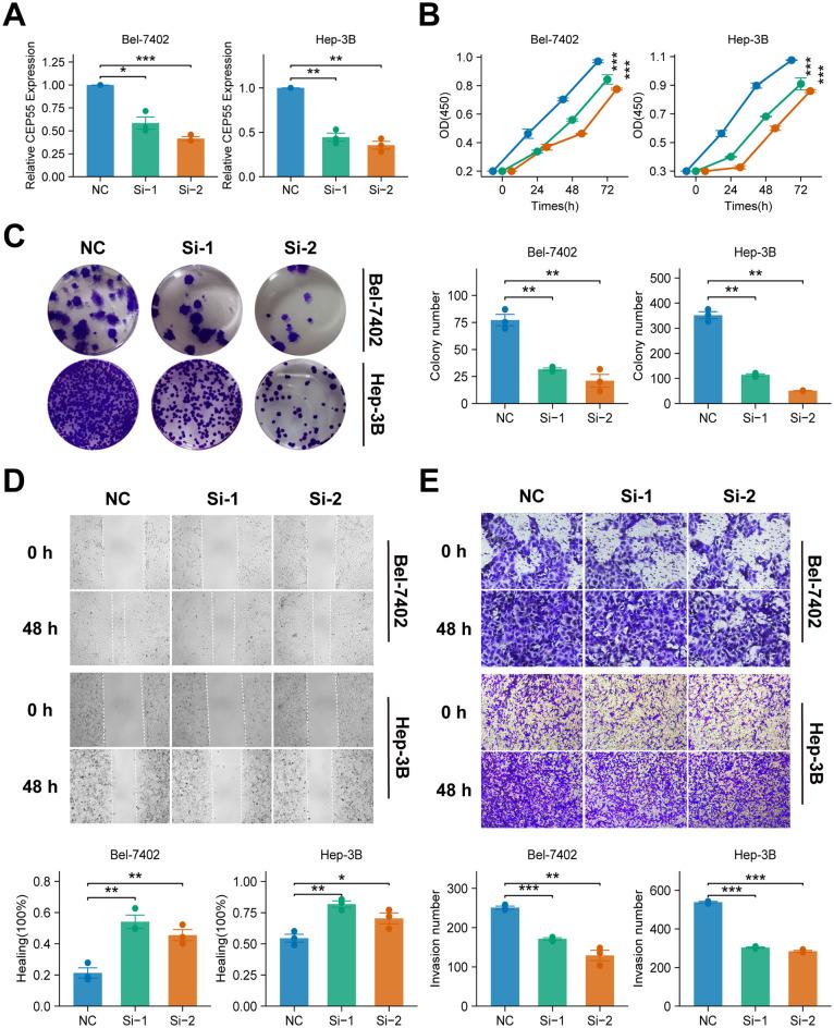 https://cdn.ncbi.nlm.nih.gov/pmc/blobs/4e1f/12325060/8fb1aef70528/fimmu-16-1592259-g010.jpg