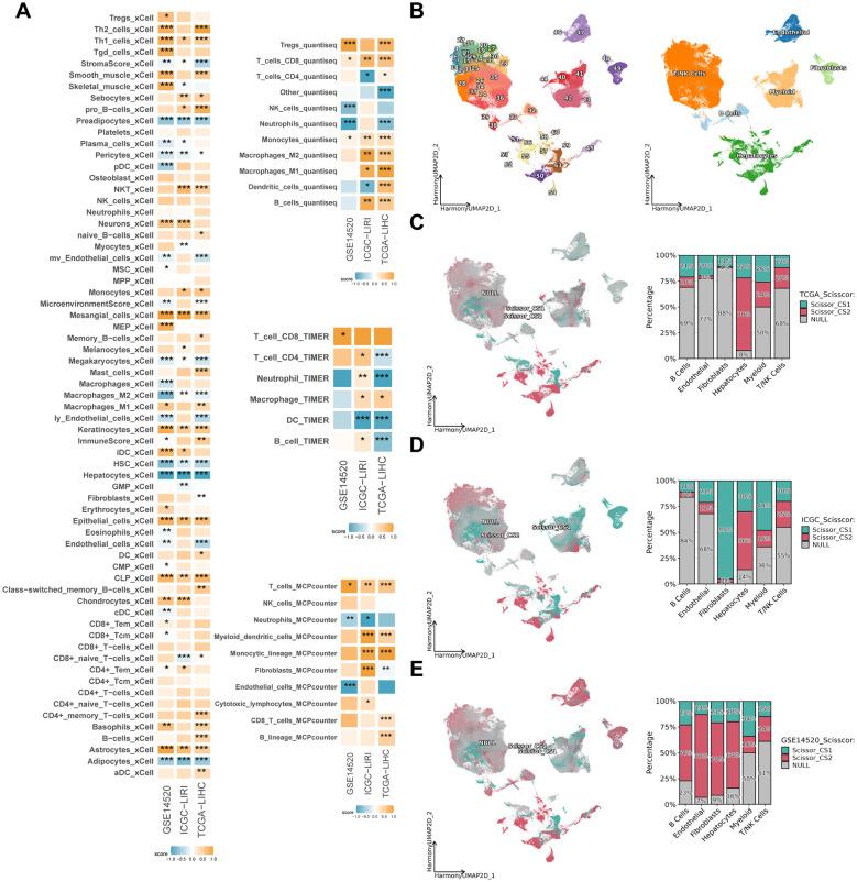 https://cdn.ncbi.nlm.nih.gov/pmc/blobs/4e1f/12325060/e140e65cc079/fimmu-16-1592259-g005.jpg