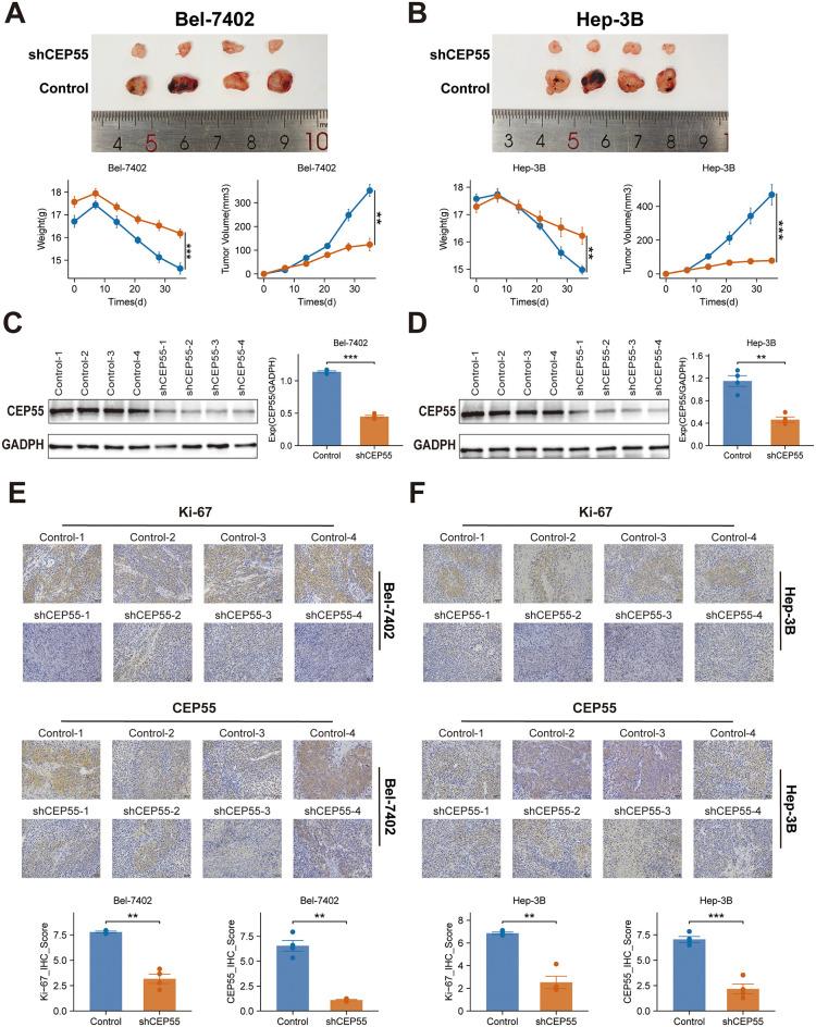 https://cdn.ncbi.nlm.nih.gov/pmc/blobs/4e1f/12325060/f797291ed015/fimmu-16-1592259-g011.jpg