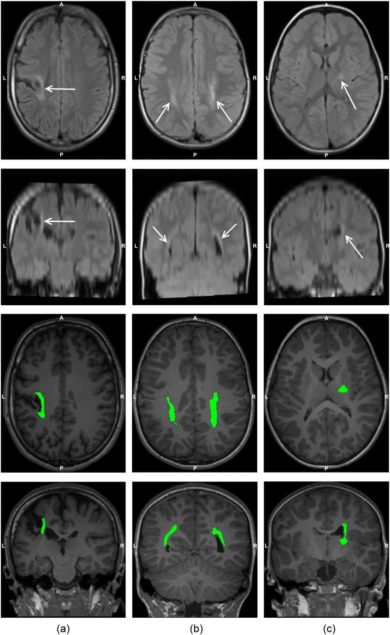 https://cdn.ncbi.nlm.nih.gov/pmc/blobs/4e20/4908311/3bab229b999a/gr3.jpg