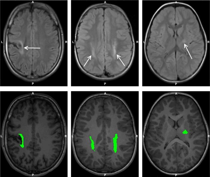 https://cdn.ncbi.nlm.nih.gov/pmc/blobs/4e20/4908311/ba54e8008d88/fx1.jpg