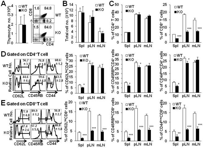 https://cdn.ncbi.nlm.nih.gov/pmc/blobs/4e26/3283604/2dba65e39473/pone.0030592.g002.jpg