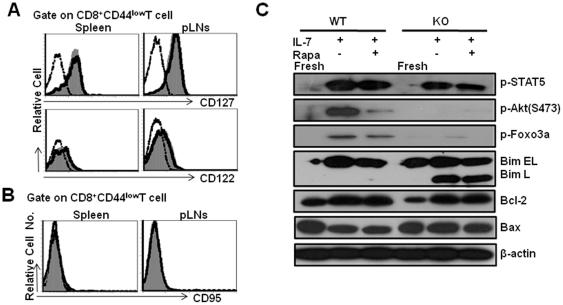 https://cdn.ncbi.nlm.nih.gov/pmc/blobs/4e26/3283604/e7442fcdac2e/pone.0030592.g005.jpg