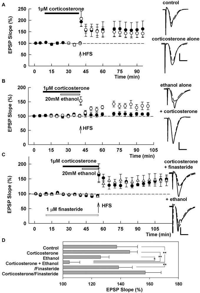 https://cdn.ncbi.nlm.nih.gov/pmc/blobs/4e26/4490241/a73caafbe0c4/fncel-09-00254-g0001.jpg