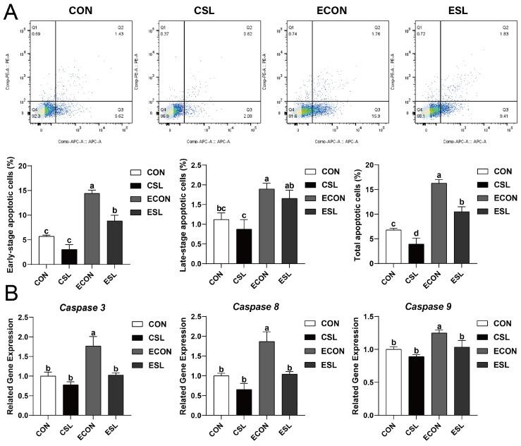 https://cdn.ncbi.nlm.nih.gov/pmc/blobs/4e28/12027521/90caf0edcdd6/ijms-26-03860-g001.jpg