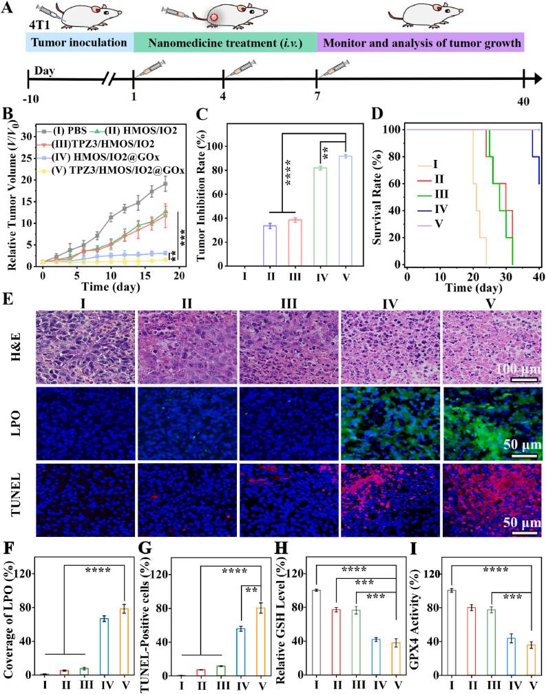 https://cdn.ncbi.nlm.nih.gov/pmc/blobs/4e2a/12145561/34e0200d654e/gr7.jpg